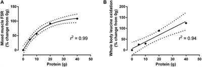 Maximizing Post-exercise Anabolism: The Case for Relative Protein Intakes